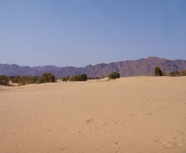 sinai desert landscape