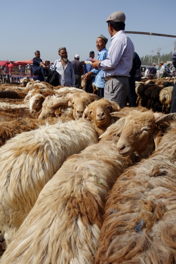 kashgar-livestock-bazaar