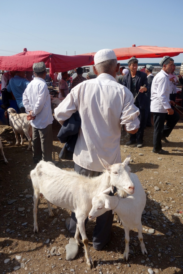 kashgar-livestock-market