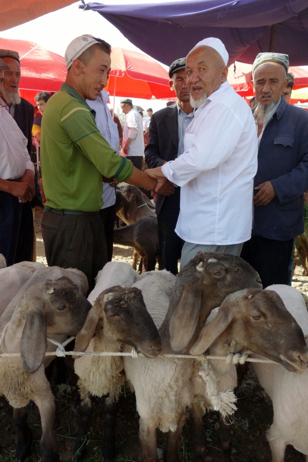 livestock-bazaar-kashgar